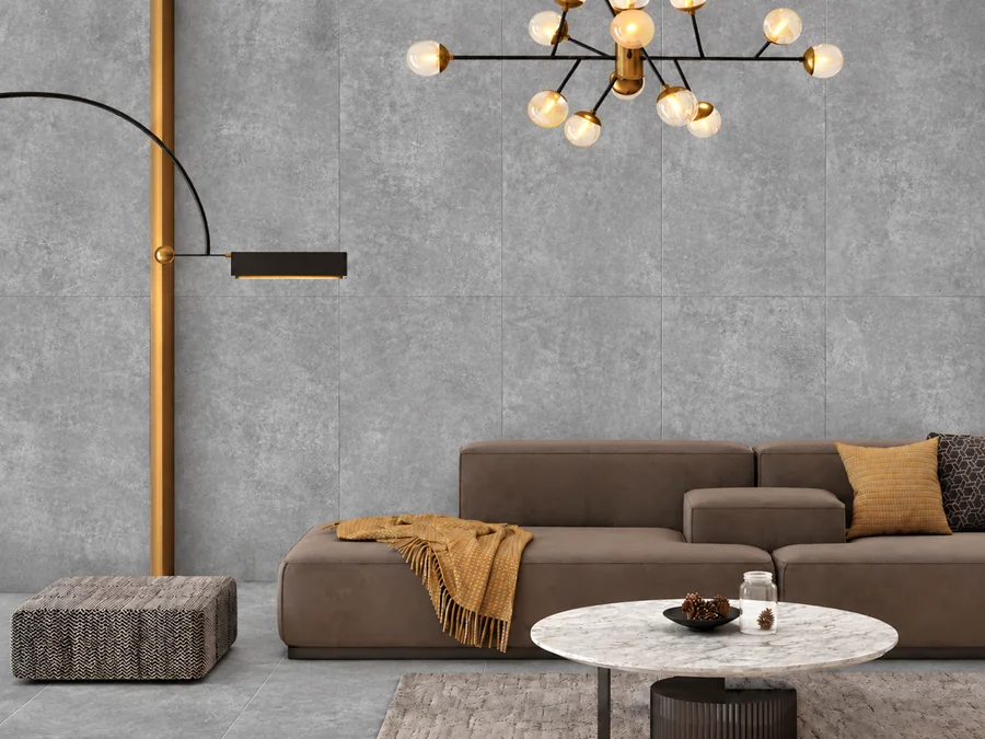 Leonessa Silver in a room