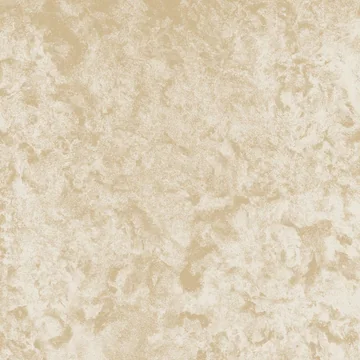 Aura 14-C · Mid