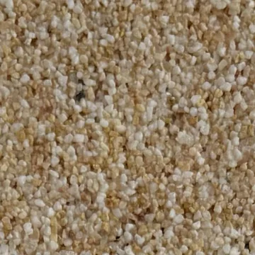 Drewa 0680