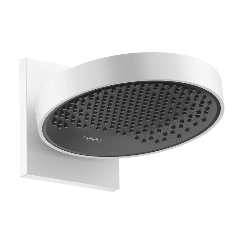 Rainfinity 250 EcoSmart Wall-Mounted Overhead Shower