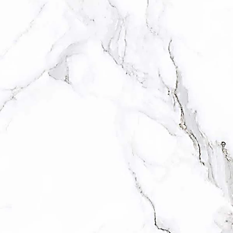 Calacatta White Scs